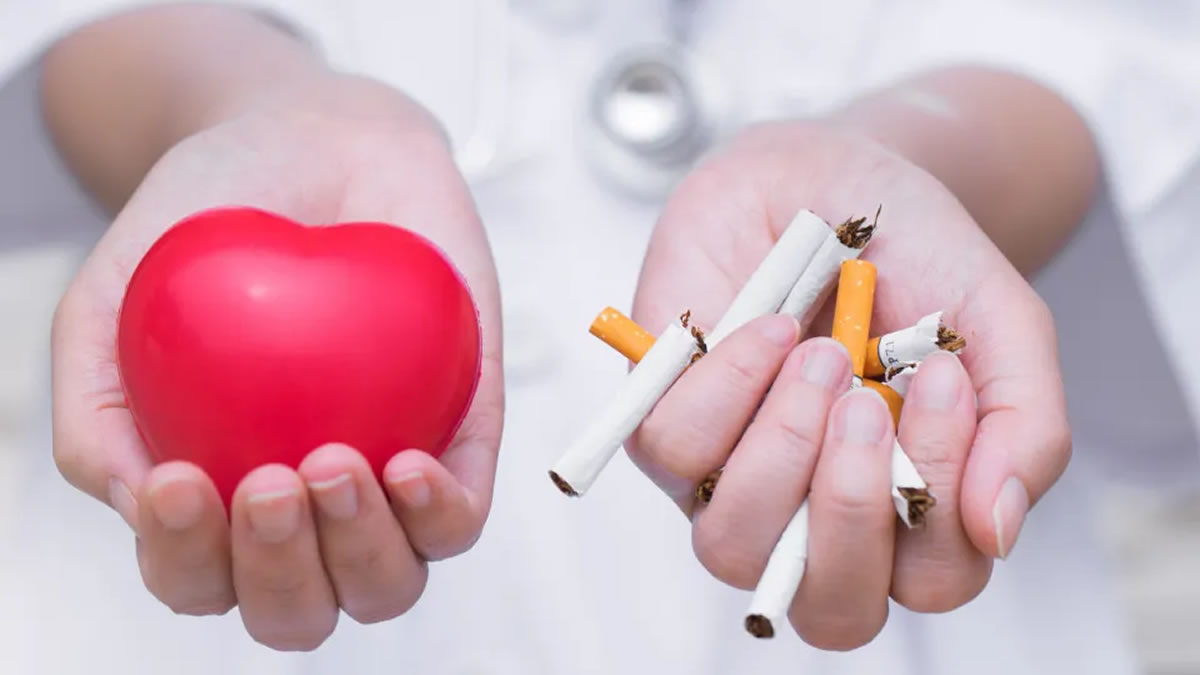 Smoking 2 Cigarettes a Day Increases Heart Risk by 50%