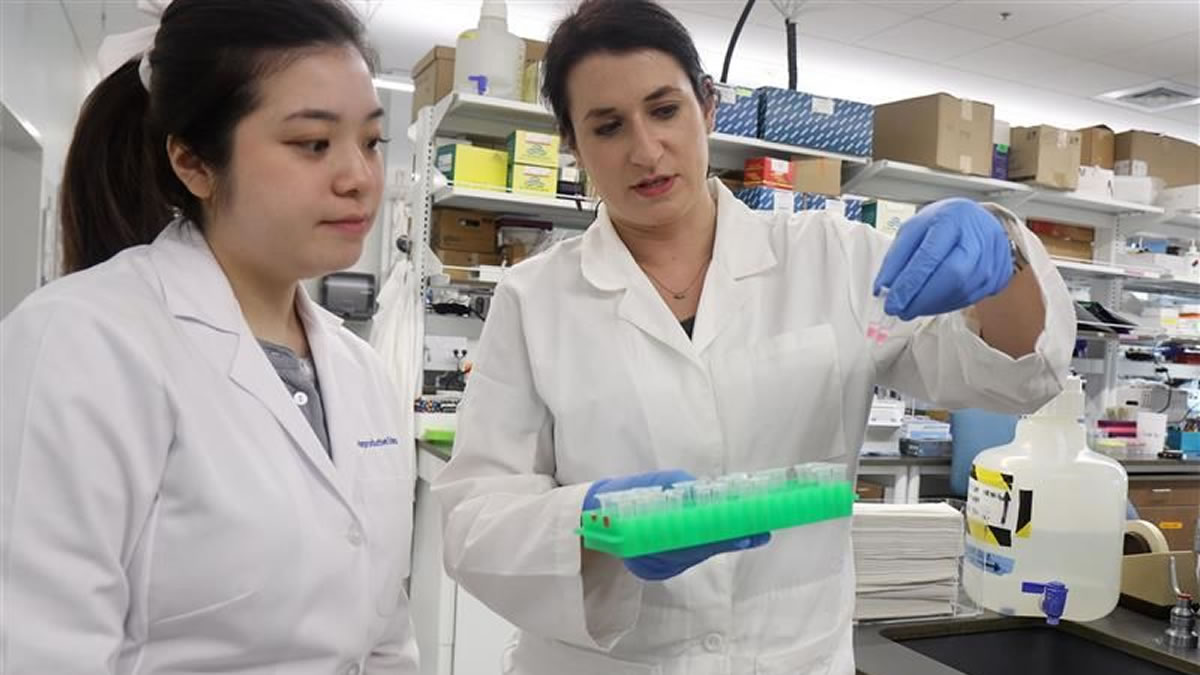 Flavored Vapes & Pregnancy: Duke Study Warns of Risks